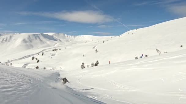 明るい青い鳥の日に山の中でフリースタイルのスノーボード — ストック動画