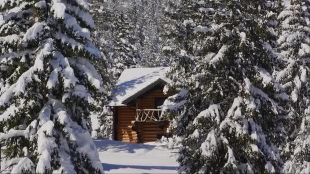 Cabaña Forestal Cubierta Nieve Soleado Día Invierno Las Montañas Zoom — Vídeo de stock