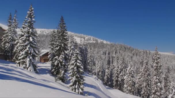 Forest Cabin Covered Snow Winter Day Mountains Panorama — Stock Video