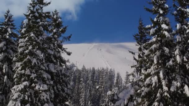 带电梯的滑雪场斜坡上的风景 缓慢的光学放大穿过松树到达一个多风的山脊 — 图库视频影像