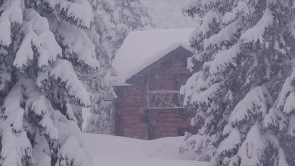 Forest Cabin Snow Blizzard Mountains Wintertime — Stock Video