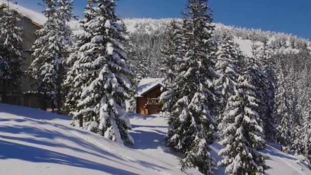 Cabane Forestière Couverte Neige Par Une Journée Ensoleillée Hiver Montagne — Video