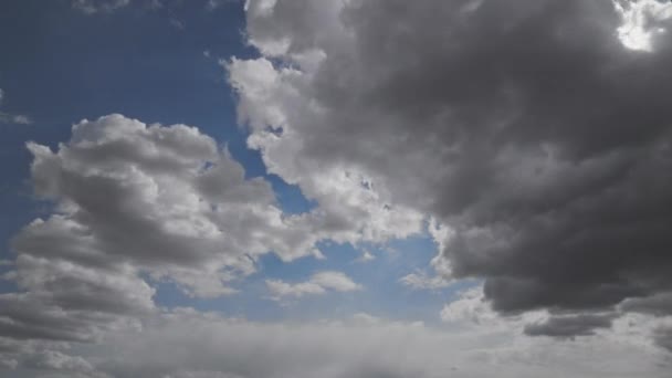 Chmury Formacja Timelapse Cumulus Chmury Letni Dzień — Wideo stockowe