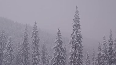 Bulutlu Kış Günü Bulutlu Dağlarda Şiddetli Kar yağışıweather forecast