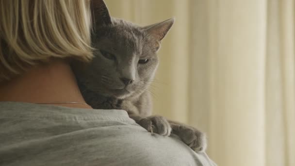 Счастливая Домашняя Кошка Женском Плече — стоковое видео