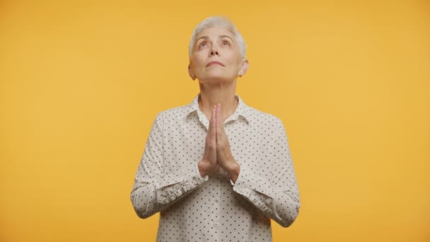 Senior Woman Praying Gesture Yellow Background Maduro Adulto Feminino Mostrando — Vídeo de Stock
