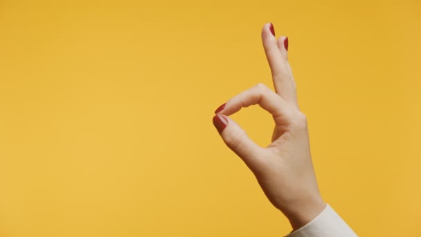 女性アームオークジェスチャー 黄色の背景に閉じる — ストック動画