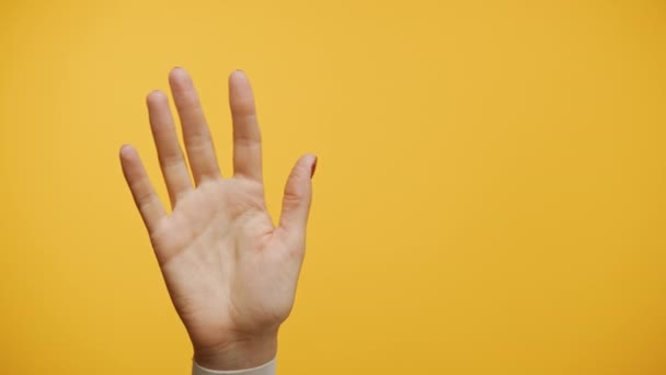 在生机勃勃的黄色背景下 人类伸出一只张开的手来打招呼 — 图库视频影像