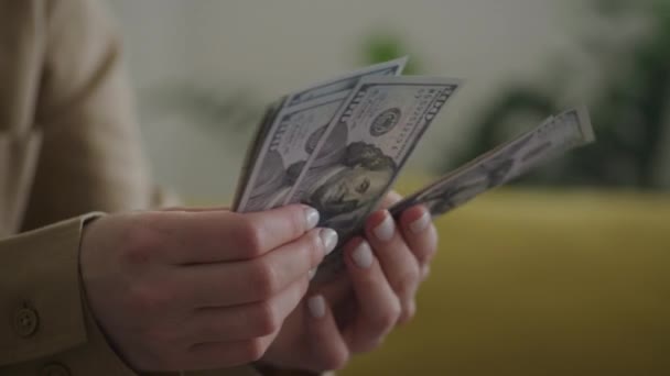 米国の通貨ノートを握り 数える人 — ストック動画