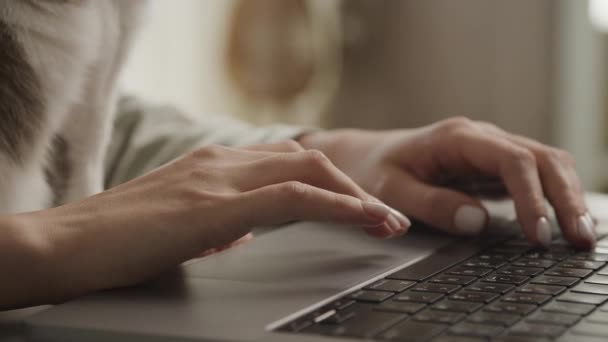 Close Mãos Digitando Teclado Laptop Com Gato Fundo — Vídeo de Stock