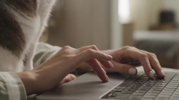 Gambaran Rinci Tentang Tangan Perempuan Mengetik Laptop Dengan Sekilas Seekor — Stok Video