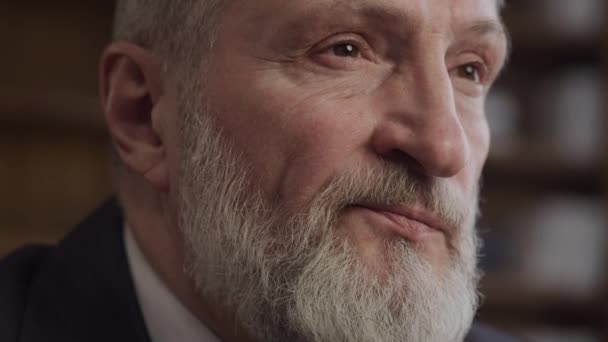 Detailliertes Porträt Eines Nachdenklichen Geschäftsmannes Mit Grauem Bart — Stockvideo