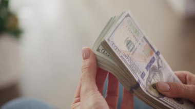 El ele tutuşup bir yığın ABD doları banknotuna göz atmak, zenginlik, finans ve finansal işlemleri sembolize ediyor