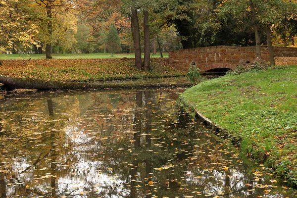 Jesień Parku Staw Mostem Banki Woda Pokryte Jesiennymi Liśćmi Drzewo — Zdjęcie stockowe