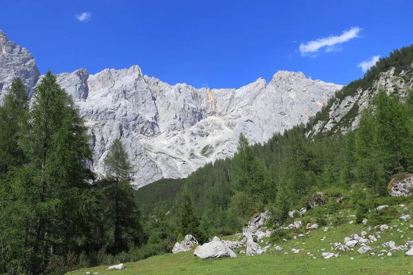 Forests, mountains and rocky peaks of the Alps below the Dachstein glacier. Rock fragments on a green field.