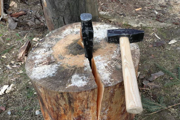 An iron wedge driven into a log. A hammer laid on a wood. A pine log cut in half. Preparation of firewood. Blurred background.