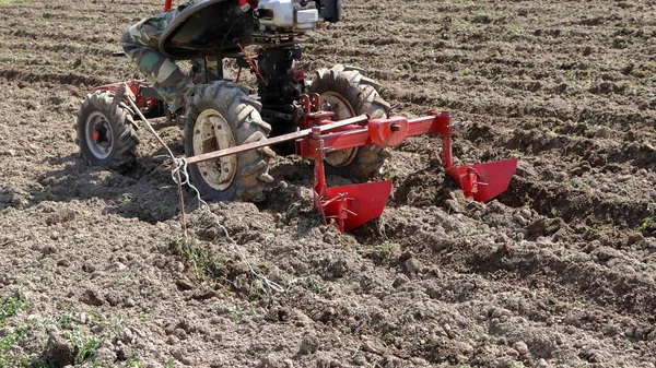 Grondbewerking Voor Het Planten Van Aardappelen Een Kleine Tractor Heuvelende — Stockfoto