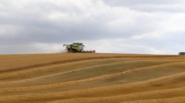 Bir hasat makinası ufukta tahıl tarlası hasat ediyor. Saman yığınları.