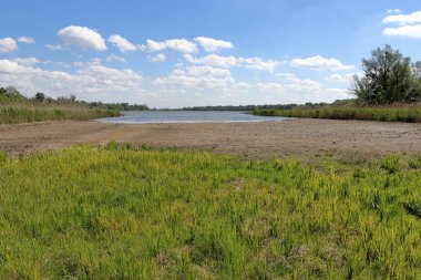 Su eksikliğinden dolayı kuruyan bir göl. Bitkiler çamurlu bankada yetişir. Bulutlu mavi gökyüzü.