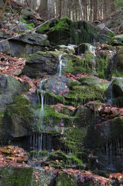 Yosun kaplı kayalar. Taşların üzerinden akan su. Kapama hızı yavaş. Şelaleye odaklan, bulanık yapraklara. Çek Cumhuriyeti 'nde Travny Nature Reserve.