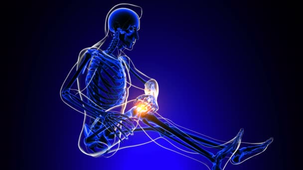 膝関節痛 医学的概念のための解剖学3Dアニメーション座位 — ストック動画