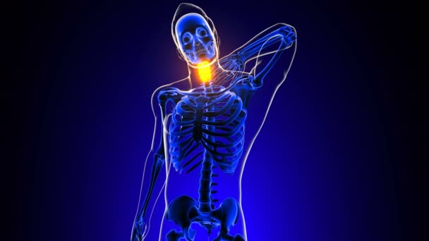 Anatomie Colonne Vertébrale Cervicale Douleur Articulaire Pour Concept Médical Animation — Video