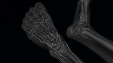 Tıbbi konsept için insan iskeleti anatomisi. Xray 3D, beyaz ve siyah kombinasyonlu.