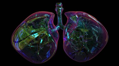 human lungs with trachea anatomy for medical concept 3D illustration