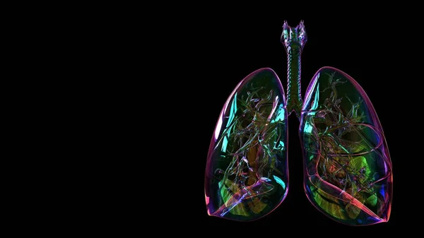 Lungs lights Stock Photos, Royalty Free Lungs lights Images | Depositphotos