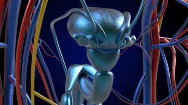 Tıbbi Konsept için Erkek Üreme Sistemi Anatomisi 3B İllüstrasyon
