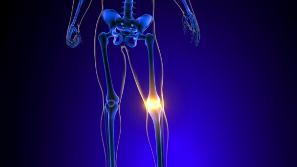 膝关节疼痛解剖对医学概念3D动画的应用 — 图库视频影像