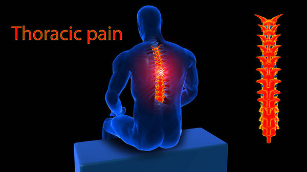 Human skeleton back pain anatomy for medical concept 3D illustration