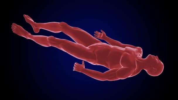 人体肌肉痉挛收缩放松失控震动身体疾病3D动画 — 图库视频影像