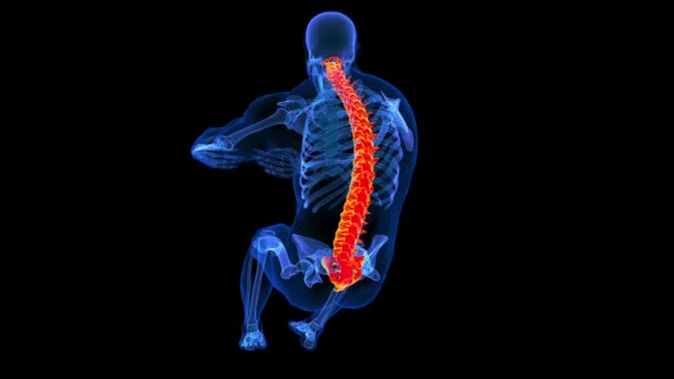 Κάνοντας Κύκλο Τσαλακώνει Ανθρώπινη Ανατομία Σκελετού Για Την Ιατρική Έννοια — Αρχείο Βίντεο