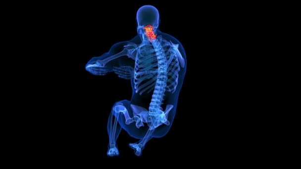Vértebras Cervicais Fazendo Círculo Esmaga Anatomia Esqueleto Humano Para Animação — Vídeo de Stock
