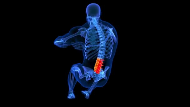 サークルを行うラムバル脊椎は 医療コンセプト3Dアニメーションのための人間の骨格解剖学をクラッチ — ストック動画