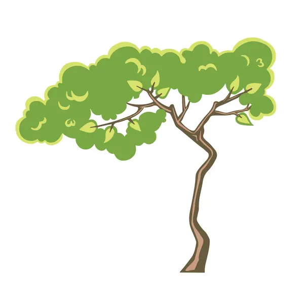 Ilustrasi Pohon Tipis Terisolasi Berwarna - Stok Vektor