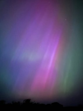 İspanyol usulü kızarmış Padron Peppers.