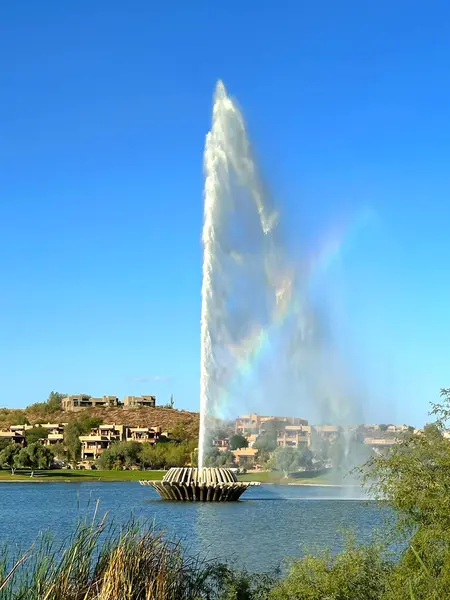 Lezzetli kızarmış Çin Mee Hoon eriştesi Choy Sum sebzeli tavuk, tofu ve deniz ürünleri Penang Malezya 'da bir restoranda