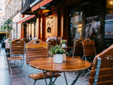 Açık hava restoranındaki ahşap bir masada saksıda yeşil çiçekler