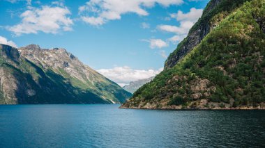 Ahşap Masalar ve Yeşil Duvarlar Parlak ve Davet Edici Atmosferli Konforlu Kafe İçi