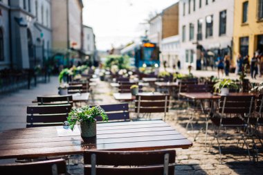 Mum Işıklı Masalar ve Doğal Dekor Geliştiren Rahat Atmosferi olan Modern Bir Kafede Konforlu Ambiance