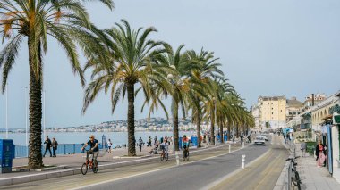 Güneşli bir günde Palmiye Ağaçları ve Bisikletçilerle Sahne Kıyı Bulvarı