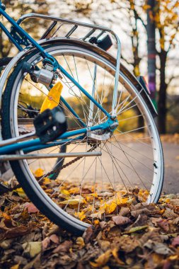 Bir Manzaralı Park Ayarında Sonbahar Günbatımında Yaprak Kaplamalı Yol Bisiklet Tekerleği Yakından Görünümü