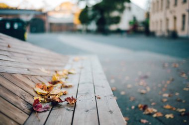 Yıkılan Yapraklar Ahşap Yapıda ve Düşsel Yumuşak Odaklanma Arkaplanında Serene Urban Sonbahar Sahnesi