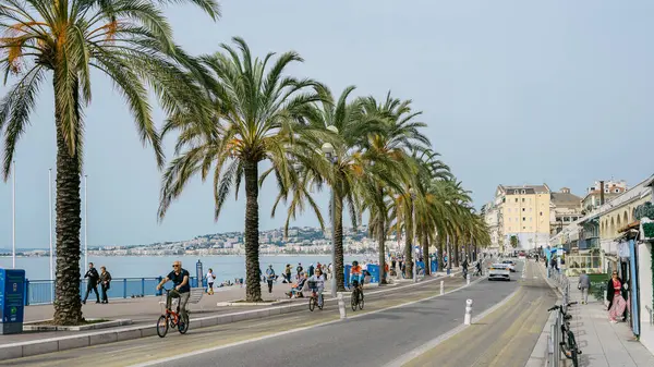 Güneşli bir günde Palmiye Ağaçları ve Bisikletçilerle Sahne Kıyı Bulvarı