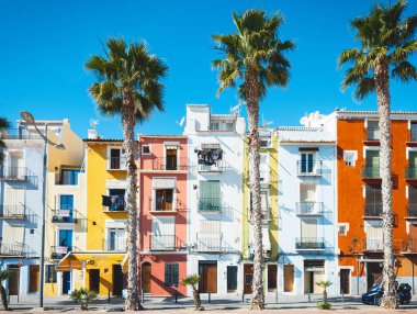 Canlı Akdeniz Sokak Manzarası Renkli Yüzler ve Açık Mavi Gökyüzü Altındaki Uzun Palmiye Ağaçları