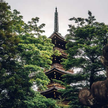 Huzurlu bir bahçe ortamındaki yemyeşil yeşillikler tarafından çerçevelenmiş geleneksel bir Japon Pagoda Kulesi