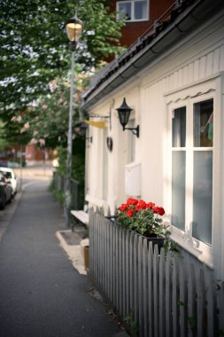 Güneşli bir günde Kızıl Çiçekli Tuhaf Beyaz Kır Evi Büyüleyici Sokak Manzarası