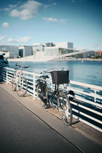 Huzurlu Rıhtım ve Modern Mimariye Bakış Amaçlı Bisikletli Şehir Sahnesi Köprüye Karşı Dinleniyor